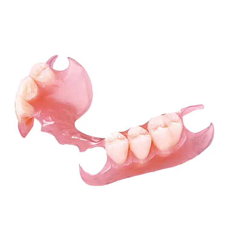 Photo example of a flexible denture.